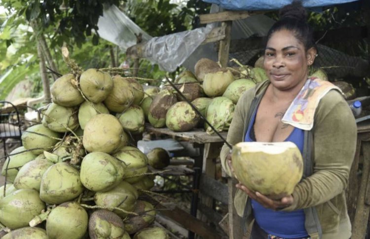 Mother Of 6 Selling Coconuts For A Living