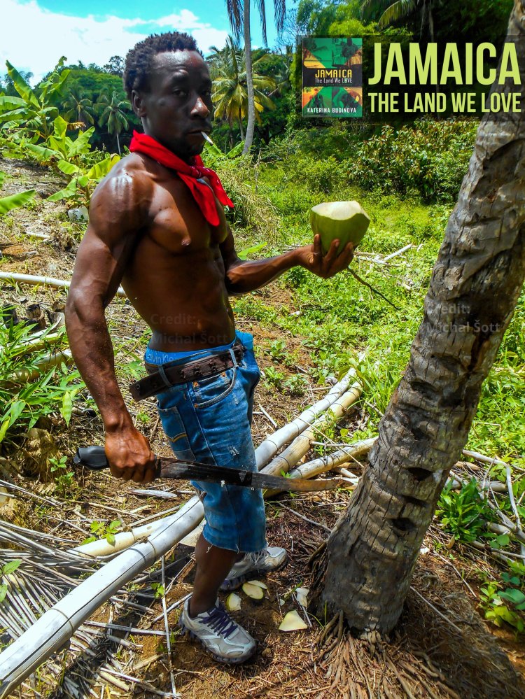 Jamaican Farmer Bob